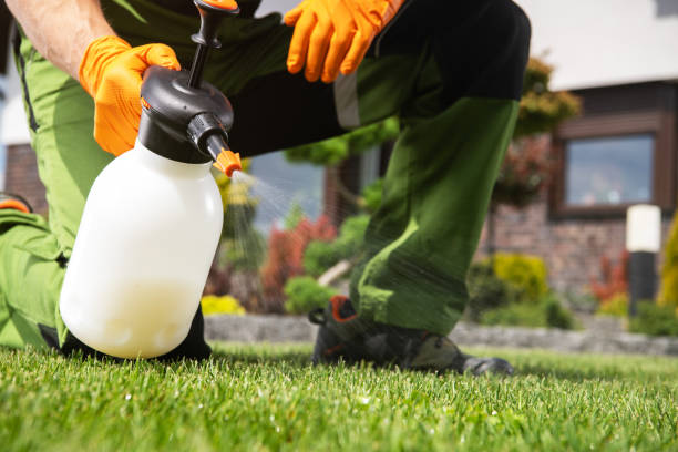 Best Best Pest Control Companies  in Eddyville, KY
