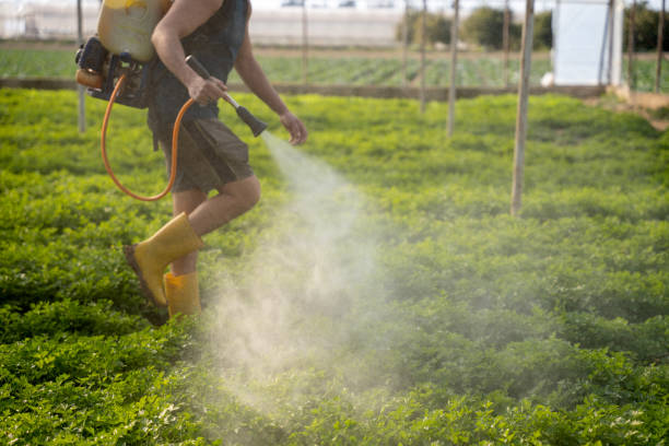 Best Commercial Pest Control Services  in Eddyville, KY