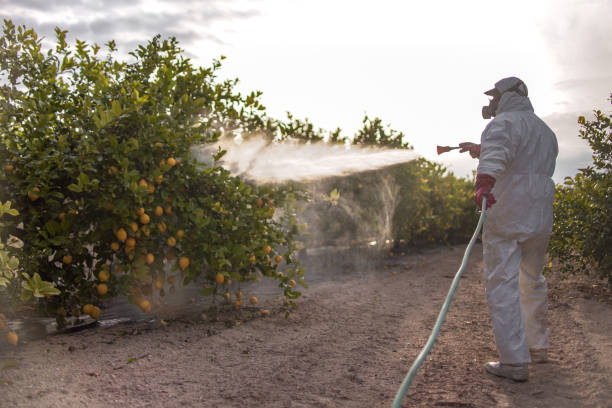 Best Pest Removal Services  in Eddyville, KY