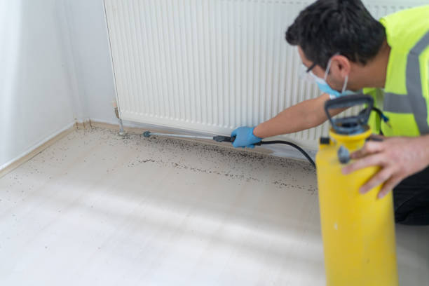 Best Termite Control Services  in Eddyville, KY